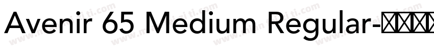 Avenir 65 Medium Regular字体转换